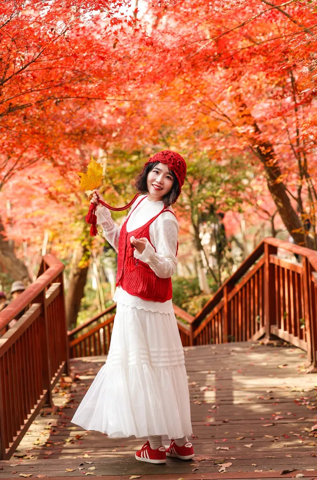 12·1南京棲霞山紅楓進入觀賞期～附路線～