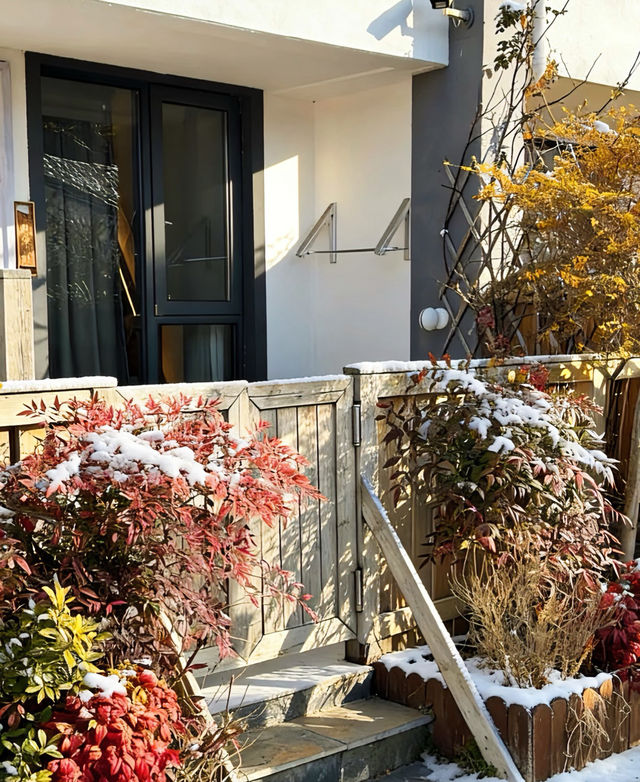 廬山雪景民宿200+躺看霧淞雲海！性價比絕了