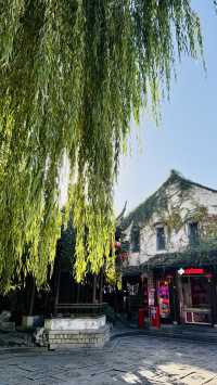 古典美學老門東南京文藝范古街區打卡指南