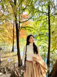 終於等到了12月的南京