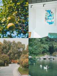 帶父母出遊,這裡成了他們的“誇誇群”