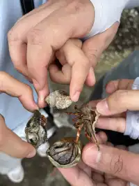 古晉十日：從山都望雨林到砂拉越河岸