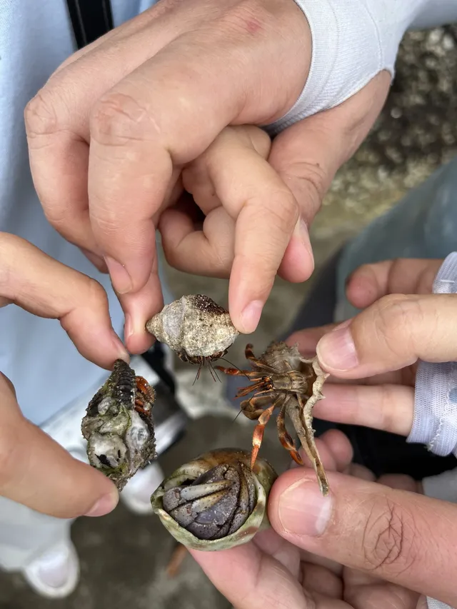 古晉十日：從山都望雨林到砂拉越河岸