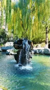 濟南五龍潭I live 這裡的泉水會“發光”