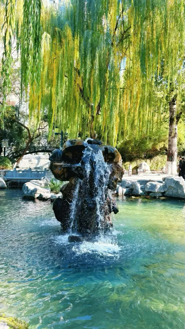 濟南五龍潭I live 這裡的泉水會“發光” 濟南五龍潭I live 這裡的泉水會“發光”