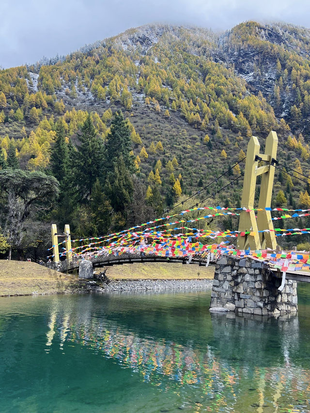 沉浸式體驗 『理小路』