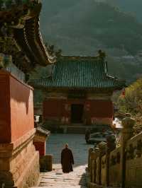 武當山冬季福利！親子免費搶票攻略+膝蓋友好路線