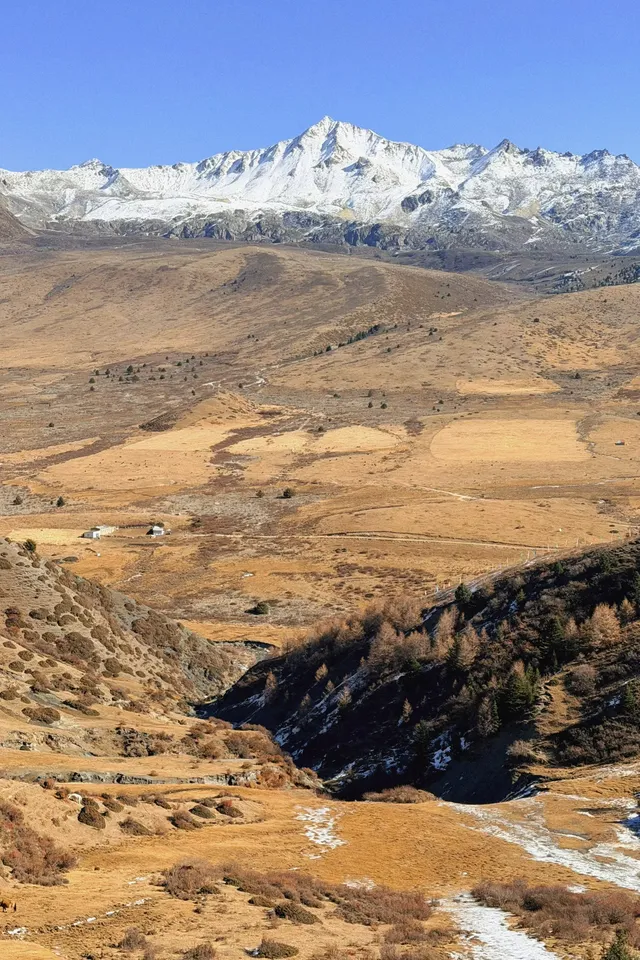 為什麼0人安利S434的這個免費觀景台 為什麼0人安利S434的這個免費觀景台