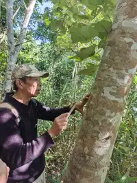 版納雨林徒步 ｜和世界失聯的四小時