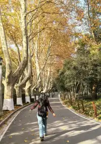 愛上金陵的秋(五)