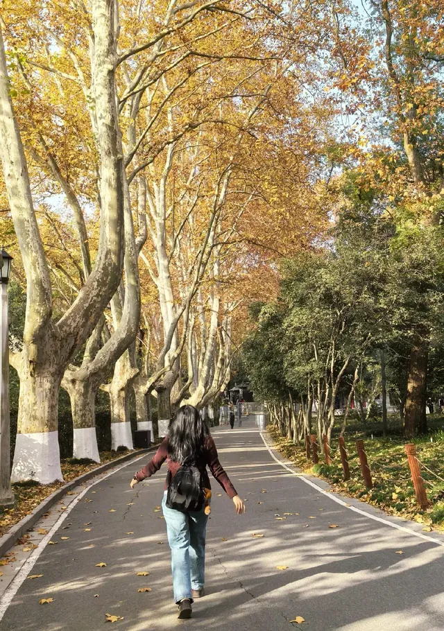 愛上金陵的秋(五) 愛上金陵的秋(五)