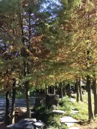 真的不是在京都!就在福州…