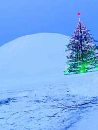 中國最北漠河超全攻略|極光+潑水成冰+馴鹿!3-7日路線