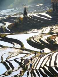 哀牢山元陽梯田徒步指南