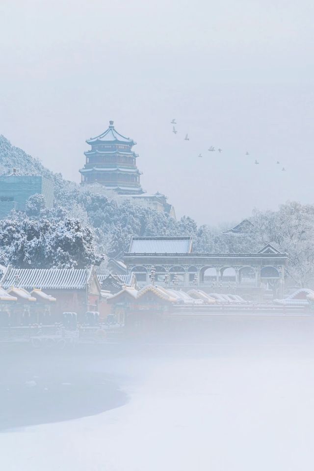 初雪降臨，北平秒變童話世界，你打卡了嗎