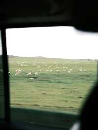 魔都浪漫的秋日遊玩攻略,教你解鎖上海的浪漫玩法~ 【交通指南】 地鐵1號線、10號線至陝西南路站