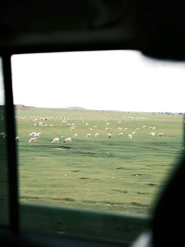 魔都浪漫的秋日遊玩攻略,教你解鎖上海的浪漫玩法~ 【交通指南】 地鐵1號線、10號線至陝西南路站 魔都浪漫的秋日遊玩攻略,教你解鎖上海的浪漫玩法~ 【交通指南】 地鐵1號線、10號線至陝西南路站
