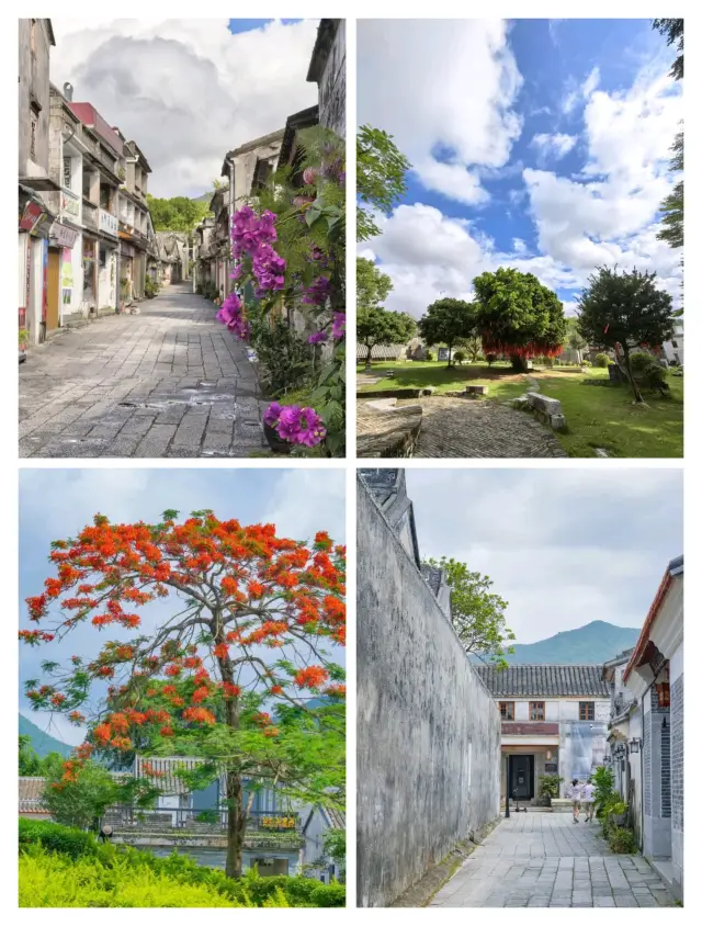 Shenzhen ... a romantic ancient city by the sea