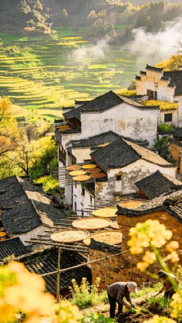 皖南のハイキングの頂点！4日間の秘蔵ルートで花海と雲の中を歩こう