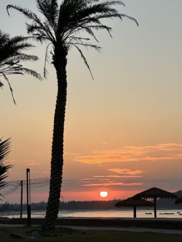 椰風海韻で「声」による新春のお祝い