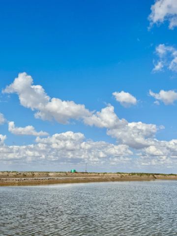 栟茶古鎮｜超広角｜超詳細｜超高品質な遊び方