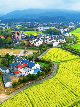 หูหนานอันเหริน: รีบมาชมดอกไม้ที่สวนทุ่งนา!