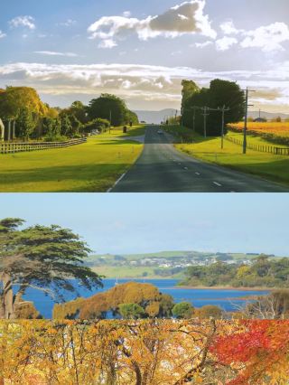 Melbourne self-drive | a magical route made even more beautiful by red leaves & a small train\