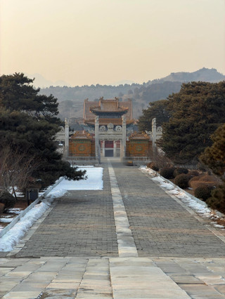 "Half of Qing Dynasty history"! 750,000 sqm ancient pine forest in a royal secret realm