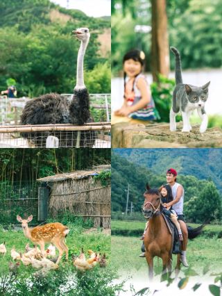 Moganshan Mantian Resort Hotel | A paradise for kids and relaxation, just lie back and enjoy.