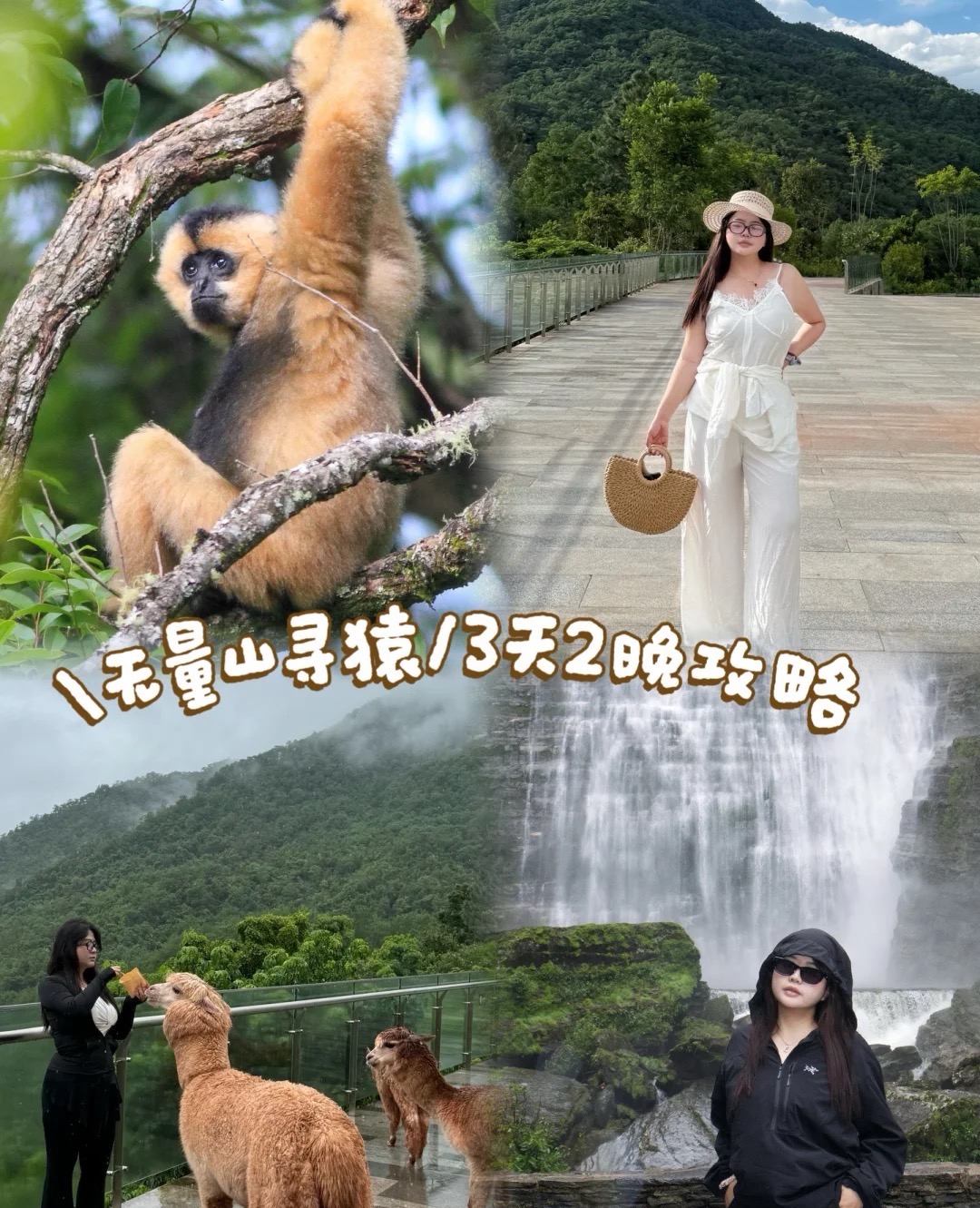 Three-day, two-night Wuliang Mountain monkey-watching guide