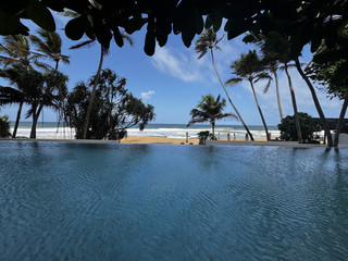 I've been a long-time Trip.com fan, and this time when my friend's family and I planned a trip to Sri Lanka, we decisively chose Trip.com's private custom tour. It proved to be a wise choice.