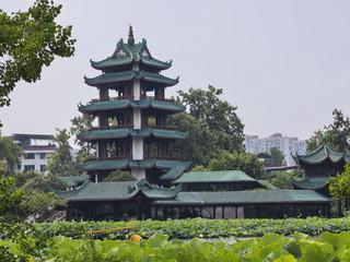 Lotus fragrance fills the garden, osmanthus wine brews; the Chengdu version of "Dream of the Red Chamber" is hidden in this thousand-year-old garden 