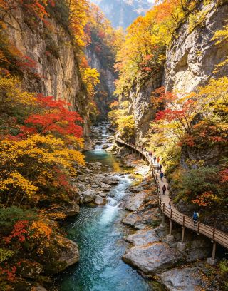 The Micang Mountains: Red leaves blanket the mountains, waiting for you