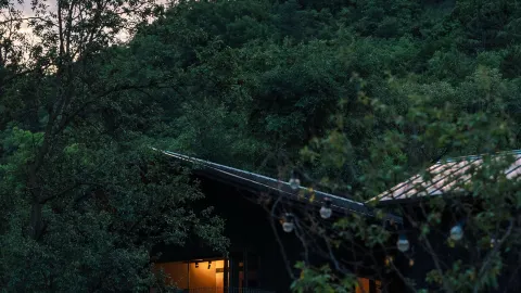 The ultimate summer getaway for kids! A 21°C forest cabin they won't want to leave — traveler post in Hakone