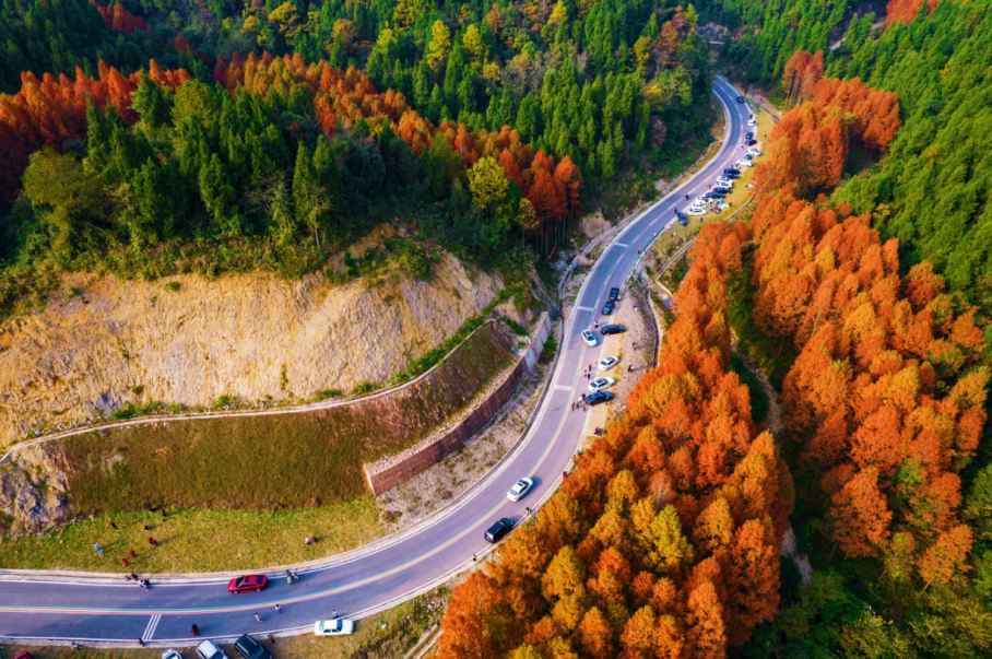 No need to travel far this autumn. Let us help you unlock the unique beauty of Dianjiang this season~