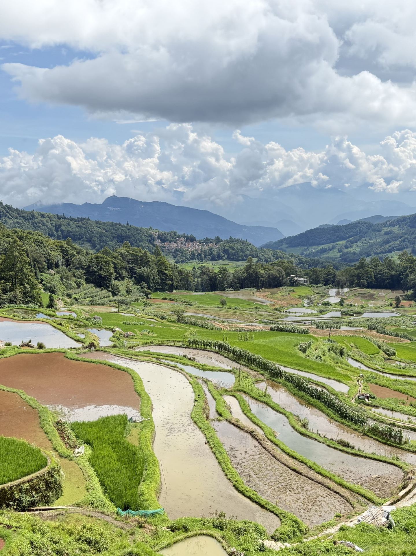 Autumn trips to Kunming and beyond are absolutely stunning—just copy this guide after reading it