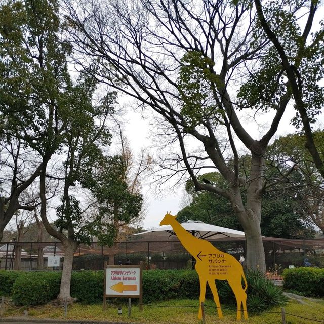 自動販売機にゾウの銅像！岩場にお正月飾り！