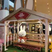 miffy 迷必去打咭
