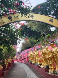 應該是全港最多佛像的寺院