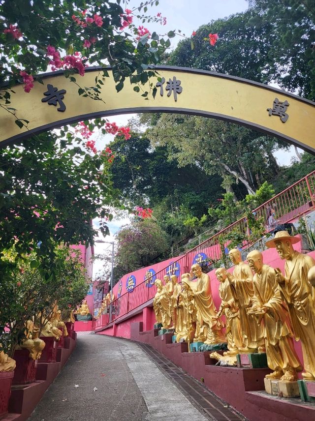應該是全港最多佛像的寺院