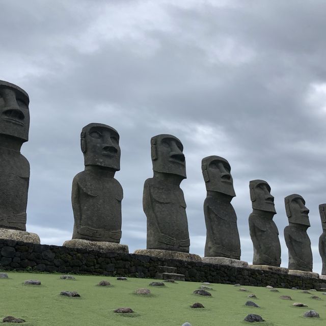 일본에서 만나는 모아이 석상🗿
