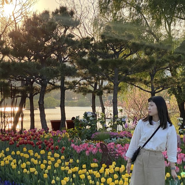 “2023순천만국제정원박람회” 보러 순천만국가정원으로~
