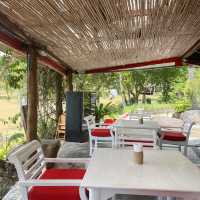 Jungle Club samui 