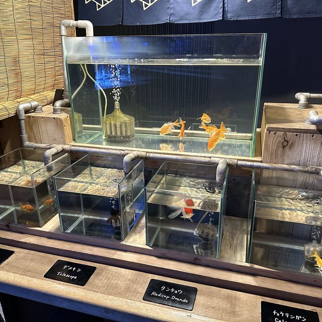水母主打～墨田水族館