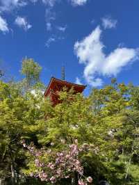 Kiyomizu Temple