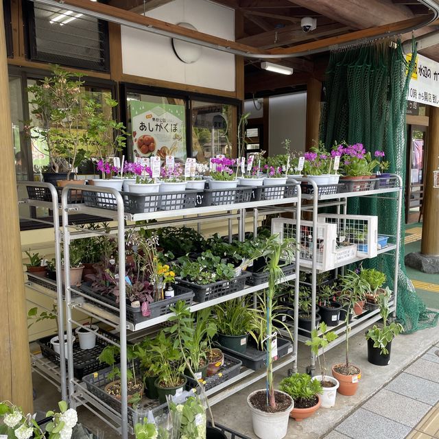 (埼玉県) 横瀬町　道の駅芦ヶ久保