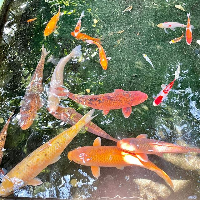 熱川バナナワニ園の動物たち