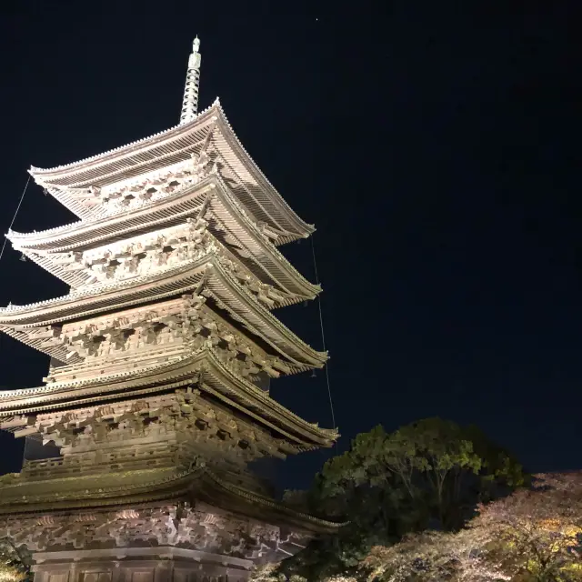 京都・秋のライトアップ東寺