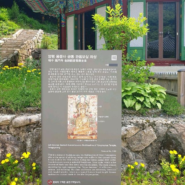 양평 용문사, 1100년 은행나무의 위엄에 놀라다