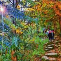 "Ancient Footsteps: "Along the Wuyue Trail"